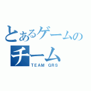 とあるゲームのチーム（ＴＥＡＭ ＧＲＳ）