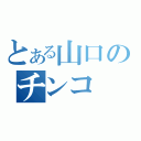 とある山口のチンコ（）