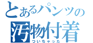 とあるパンツの汚物付着（ついちゃった）