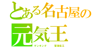 とある名古屋の元気王（ゲンキング   宮澤佐江）