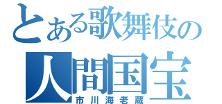 とある歌舞伎の人間国宝（市川海老蔵）