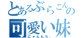 とあるぶらこんの可愛い妹（にゃんもち。）