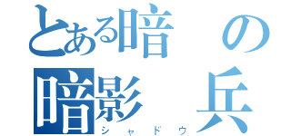 とある暗闇の暗影傭兵（シャドウ）