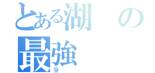 とある湖の最強（⑨）