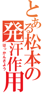 とある松本の発汗作用（はっかんさよう）