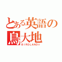 とある英語の鳥大地（ＢＩＲＤＬＡＮＤ☆）