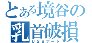 とある境谷の乳首破損（ＵＳＢポート）