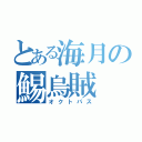 とある海月の鯣烏賊（オクトパス）