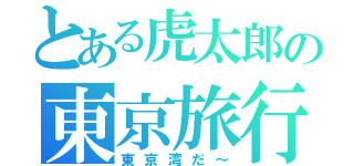 とある虎太郎の東京旅行（東京湾だ～）