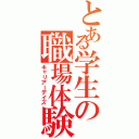 とある学生の職場体験（キャリアーデイズ）