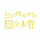 とある吹奏楽部の黄金木管（サックス）