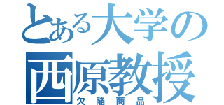 とある大学の西原教授（欠陥商品）