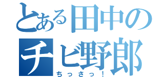 とある田中のチビ野郎（ちっさっ！）