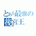 とある最強の後宮王（羅）