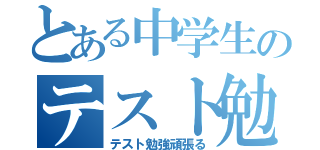 とある中学生のテスト勉強（テスト勉強頑張る）