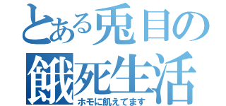 とある兎目の餓死生活（ホモに飢えてます）