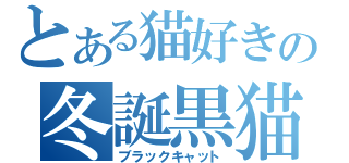 とある猫好きの冬誕黒猫（ブラックキャット）