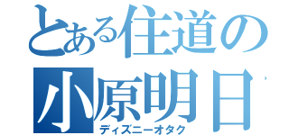 とある住道の小原明日香（ディズニーオタク）