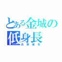 とある金城の低身長（兵頭優花）