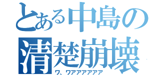 とある中島の清楚崩壊（ワ、ワアアアアアア）