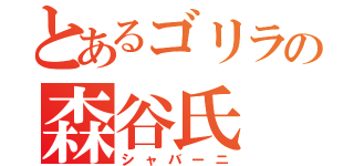 とあるゴリラの森谷氏（シャバーニ）