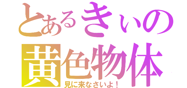 とあるきぃの黄色物体（見に来なさいよ！）