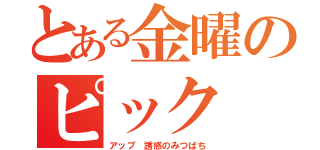 とある金曜のピック（アップ 誘惑のみつばち）