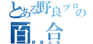 とある野良プロの百 合 係（野宿人生）