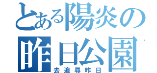 とある陽炎の昨日公園（去追尋昨日）