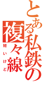 とある私鉄の複々線（短いけど）