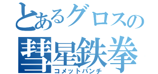 とあるグロスの彗星鉄拳（コメットパンチ）
