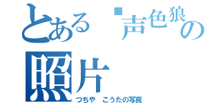 とある闷声色狼の照片（つちや こうたの写真）