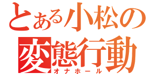 とある小松の変態行動（オナホール）