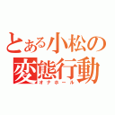 とある小松の変態行動（オナホール）