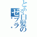 とある白髪のゼブラ（智也）