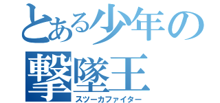 とある少年の撃墜王（スツーカファイター）