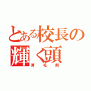 とある校長の輝く頭（育毛剤）