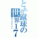 とある蹴球の世界１７位（ザックジャパン）