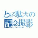 とある駄犬の記念撮影（イイノトリタイナ）