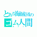 とある海賊団のゴム人間（ルフィ）