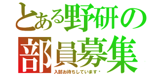 とある野研の部員募集（入部お待ちしています‼）