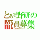 とある野研の部員募集（入部お待ちしています‼）