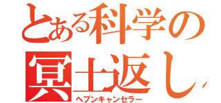 とある科学の冥土返し（ヘブンキャンセラー）