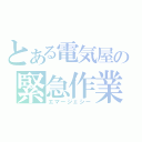 とある電気屋の緊急作業（エマージェシー）