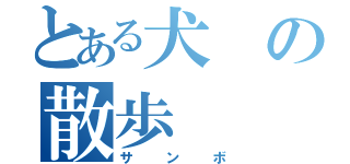 とある犬の散歩（サンボ）