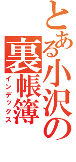 とある小沢の裏帳簿（インデックス）