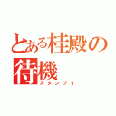 とある桂殿の待機（スタンブイ）