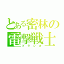 とある密林の電撃戦士（ブランカ）