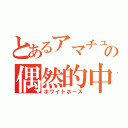 とあるアマチュアの偶然的中（ホワイトホース）