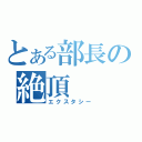 とある部長の絶頂（エクスタシー）